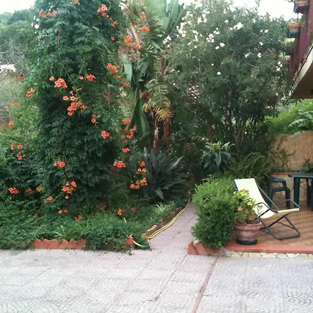 Sea Garden *
